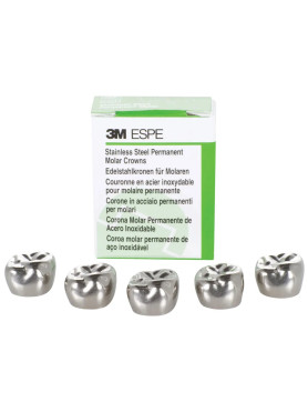 3M ESPE Stainless Steel Permanent 1st Molar Crown (Set Of 5)