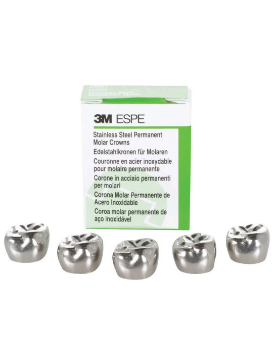 3M ESPE Stainless Steel Permanent 1st Molar Crown (Set Of 5)