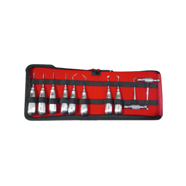 Imprixdent Elevater Kit (Set Of 10Pcs)