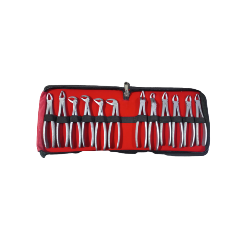 Imprixdent Extraction Forcep Kit (Set Of 12Pcs)