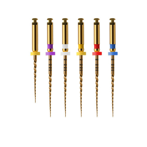 Master Endo S Taper Gold Rotary Files (Pack of 6 Files)