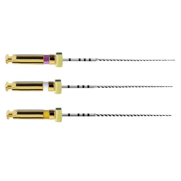 Dentsply Path File 21Mm